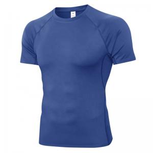 Quality Tight Quick Dry Summer Sports Mens Training Activewear Plus Size T Shirts for sale