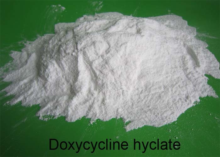 China Anti-Infection Drug Doxycycline hyclate Powder CAS: 24390-14-5 on sale