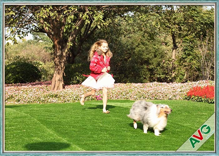 Quality SBR Latex / PU Backing Pet Artificial Turf Eden Grass Recycled Synthetic Pet Grass for sale