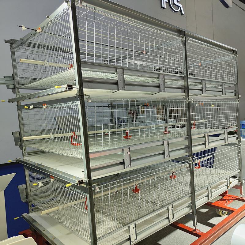 Quality HDG 4 Tier Poultry Farming Equipment For Broilers Products 200birds/Cage for sale