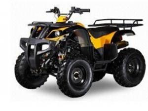 Quality 150cc-300cc Air Cooled ATV/Quad for sale