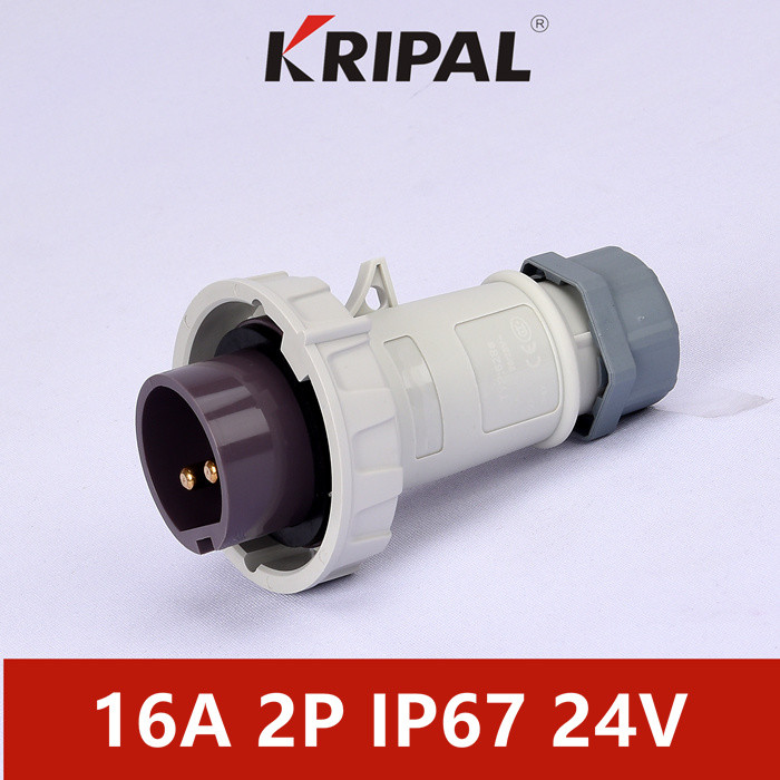 Quality Single Phase IP67 24V 16A Industrial Low Voltage Male Plug White for sale