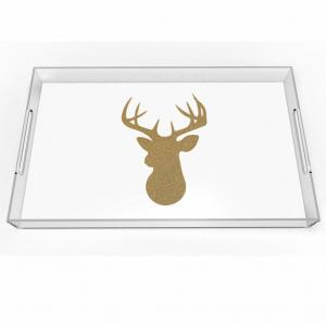 Quality Square Clear Lucite Serving Tray 12x16 Inch Acrylic Material for sale