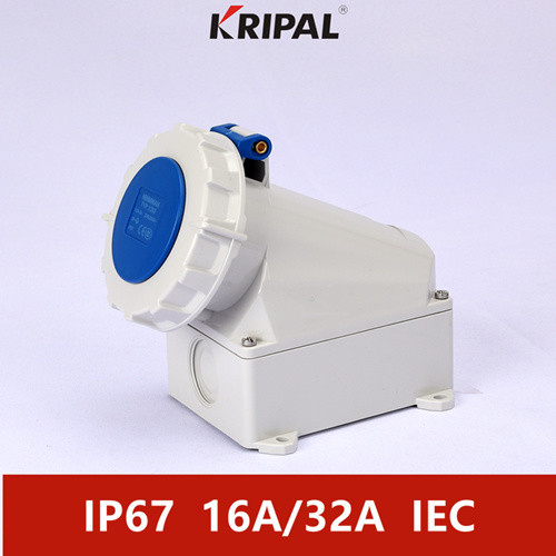 Quality Dustproof IP67 230V 16A Industrial Wall Mounted Socket IEC Standard for sale