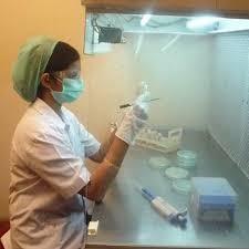 Quality Preshipment Laboratory Testing Services  3rd Party With Detailed Report for sale