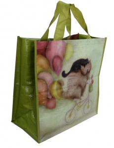 Quality PP Woven Reusable Carrier Bags Both Sides Shining Coats , eco friendly for sale