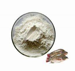 Quality ISO22000 Anti Aging  Organic Marine Fish Collagen Granule for sale