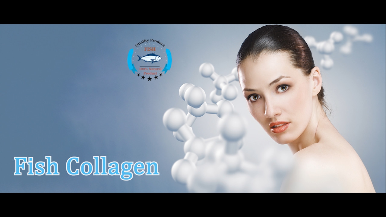 Quality KOSHER  300d Marine Scale Fish Collagen Tripeptide for sale