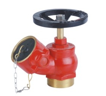 Quality screw landing valve for sale