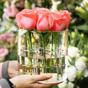 Quality Multifunctional Acrylic Flower Pot Non Toxic Plants Display 6.29X6.29X4.52Inch for sale