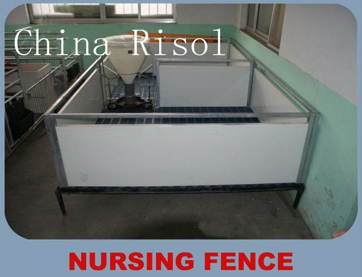 Quality free maintenance piglets nursing fence with low price for sale