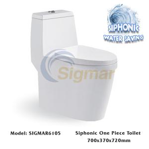 Quality SIGMAR6105 Sanitary Ware Bathroom Closestool Washdown One-Piece Toilet Bowl for sale