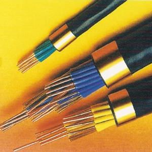 Quality XlPE insulated Silicon Rubber Control Cable for sale