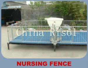 Quality Galvanized pipe piglets raising fence for sale