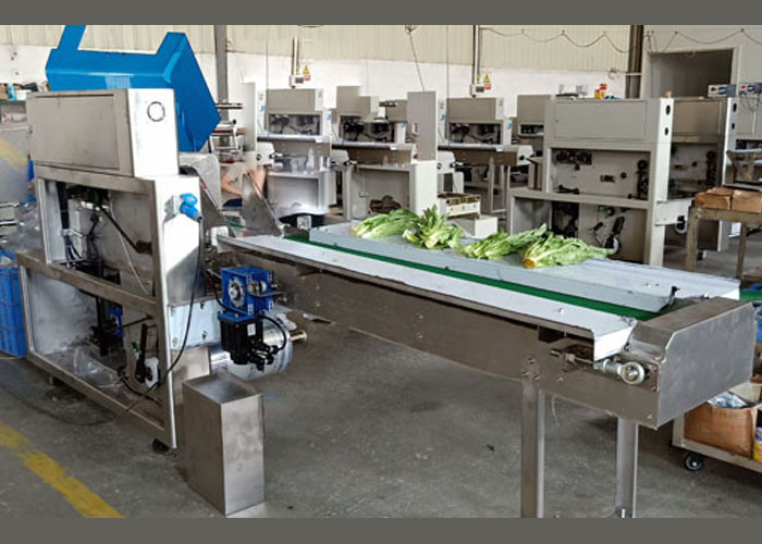 Quality Carbon Steel Fruit Vegetable Packing Machine / Lettuce Corn Eggplant Rotary Flow Pack Wrapper for sale