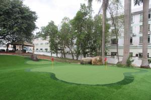Quality PP + Fleece Garden Artificial Turf With Bright Color 5 Years Warranty for sale