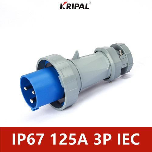 Quality 125A IP67 220V 6H Single Phase Dustproof Industrial Plug Socket for sale