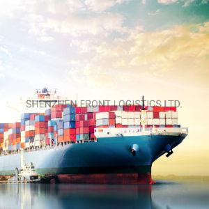 Quality                                  Sea Import Shipping Service From Germany to Shanghai China              for sale