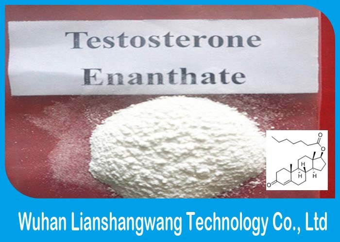 Quality Androgenic Anabolic Steroids Testosterone Enanthate for sale