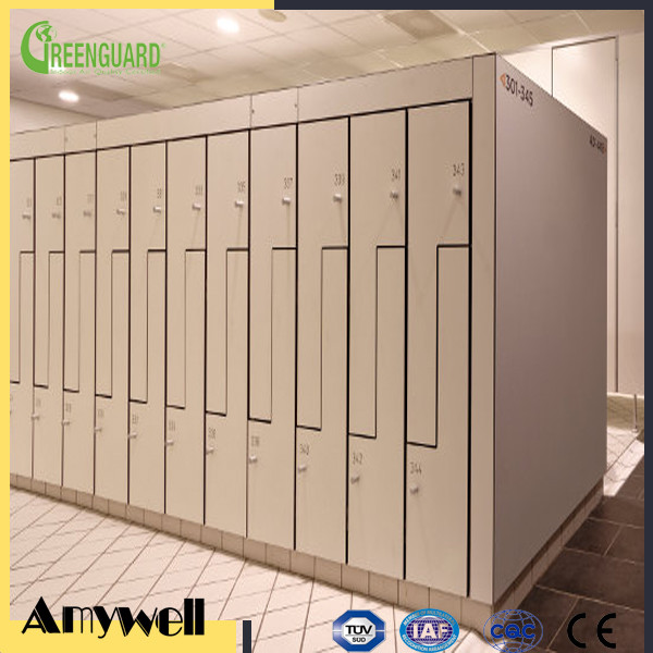 Quality Amywell factory customized waterproof solid phenolic compact HPL locker for sale