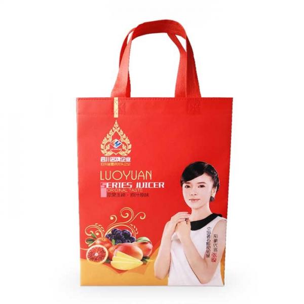 Buy Printed Polypropylene Promotional Non Woven Shopping Bags Foldable Reusable at wholesale prices