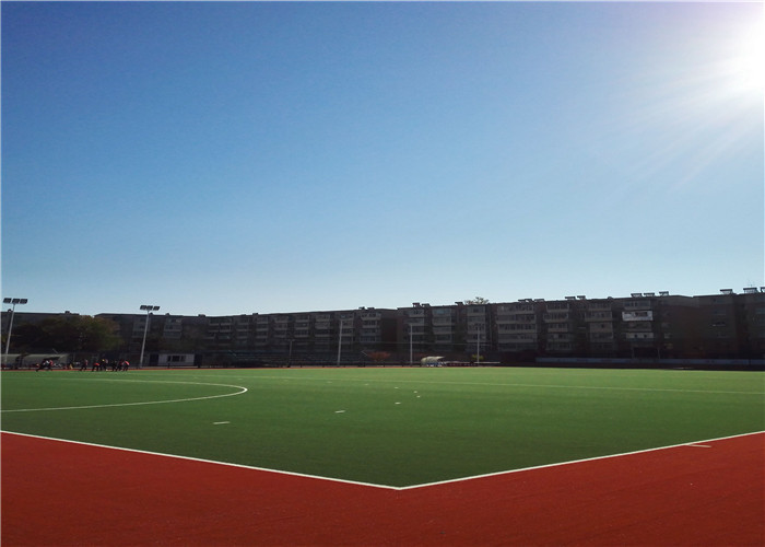 Quality Natural Looking Hockey Artificial Turf , Hockey Artificial Grass Carpets for sale