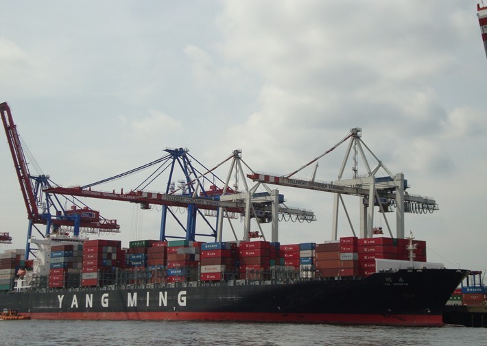 Quality Sea Freight Container Shipping from China to Middle East for sale