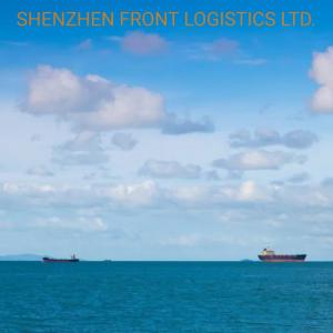 Quality                                  Professional Sea Freight Shipping Service From China to USA/America, Washington, Atlanta, Boston, Saint Paul              for sale