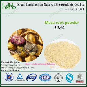 natural raw maca powder/ maca root powder