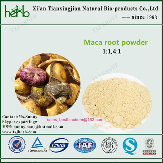 Buy natural raw maca powder/ maca root powder at wholesale prices