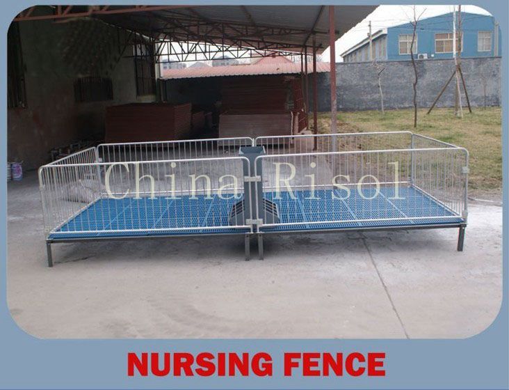 Quality new design galvanized pipe fence for sale