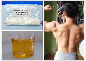 Quality Natural Muscle Buidling Drostanolone Steroid 13425-31-5 Mast E Powder Drostanolone Enanthate for sale