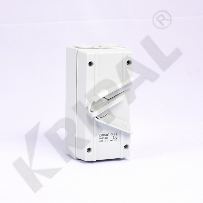 Quality Australian standard IP66 Industrial Waterproof Isolating Switch for sale