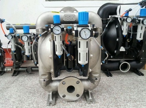 Stainless Steel Air Driven Diaphragm Pump Pneumatic for Printing
