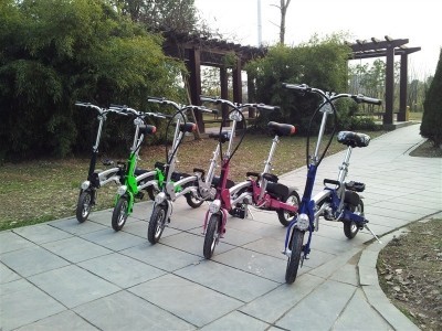 Quality 220w Alloy Folding Electric Bicycle/Electric Scooter for sale