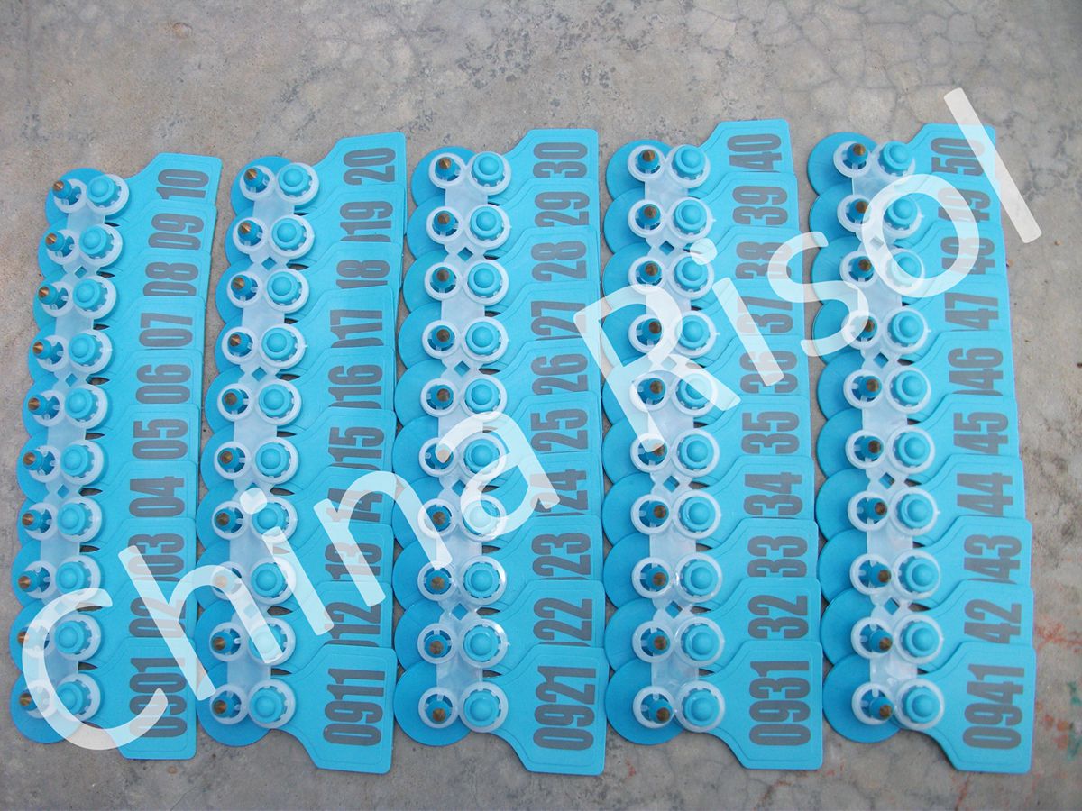 Quality Cattle ear tag 70*60mm for sale