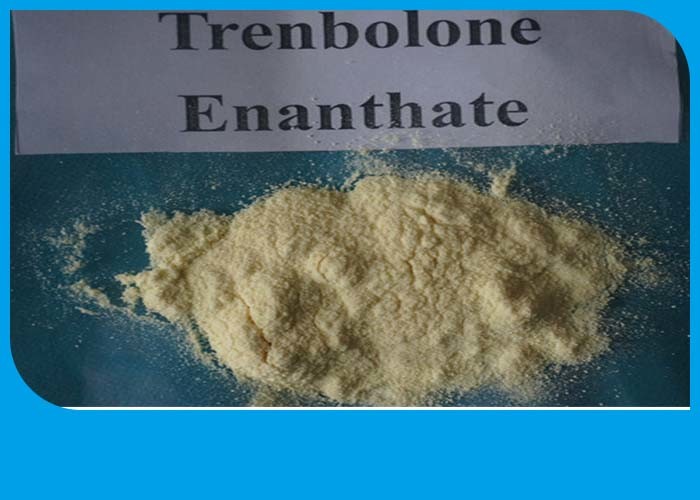 Quality Bulking Cycle Trenbolone Enanthate Powder for sale