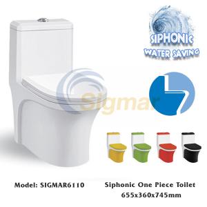 Quality SIGMAR6110 Best Suppilers Cheap One Piece Toilet WC Toilet Price Of Toilet Bowl for sale