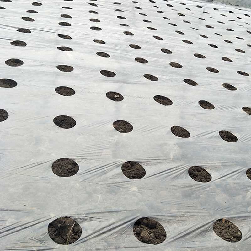 Quality Weed barrier agricultural mulch film,black silver strawberry ground cover mulching layer,plastic poly reflective film for sale