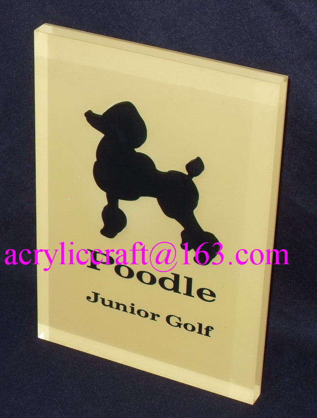 Quality Custom made branding advertising solid acrylic block wholesale for sale