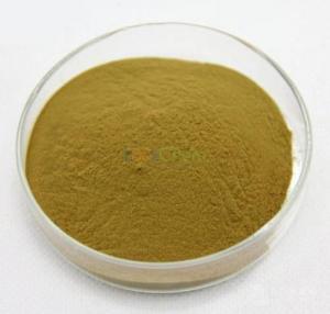 Quality Pea Hydrolyzed Vegetable Protein Powder GMO Free For Food Beverage for sale