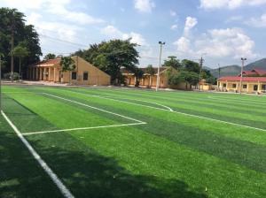 Quality PE Football Artificial Turf With Strong Stem Yarn And Strong Backing for sale