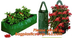 Quality OEM Planter Biodegradable Garden Bags , Hanging Growing Strawberry Bags for sale