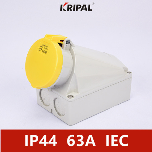 Quality IP44 4P 63Amp Industrial Power Socket Wall Mounted IEC standard for sale
