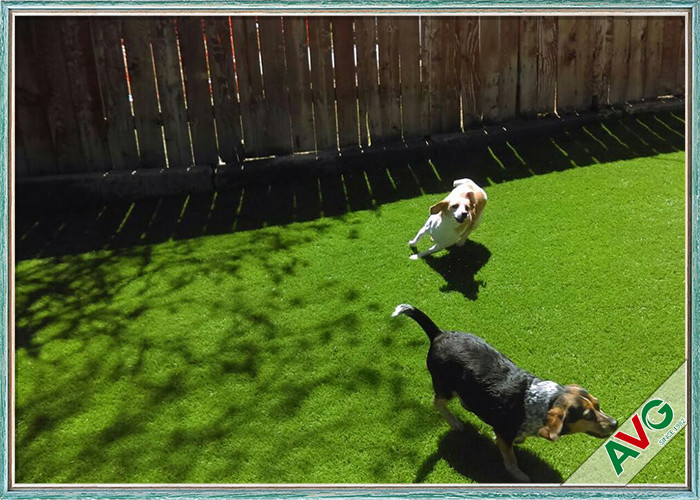 Quality 35 MM Friendly UV  Resistance Pet Artificial Turf / Synthetic Grass For Dog Playing for sale