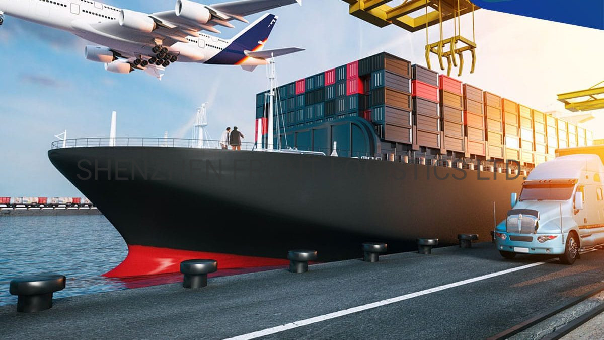 Quality Cold Chain Air Shipping From San Salvador Airport to Shenzhen for sale