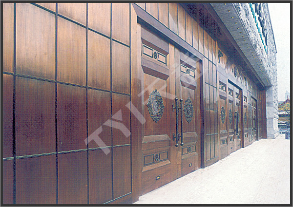 Quality bronze door by TYI for sale