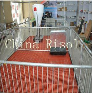 Quality High quality pig equipment nursery crates for sale