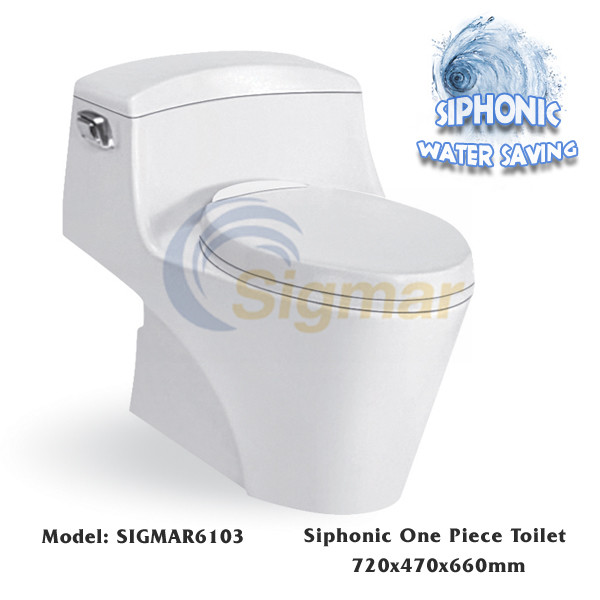 Quality SIGMAR6103 Dual Flush Porcelain Toilet Bathroom Ceramic Siphonic Toilet for sale