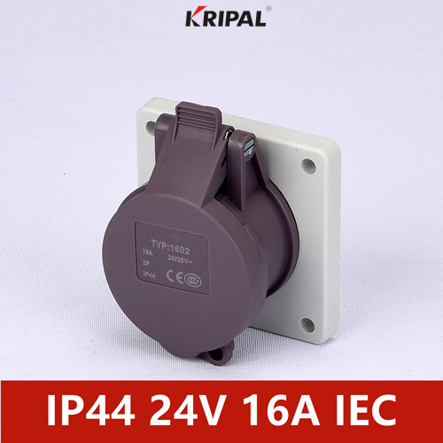 Quality IP44 24V 48V 2P Single Phase Low Voltage Panel Mounted Socket for sale